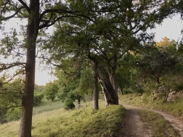 Poco Loco Ranch — Texas Hill Country guest ranch in Boerne